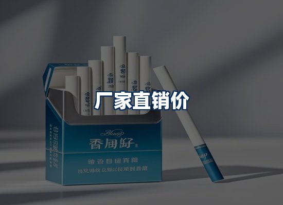 专业团队办公环境